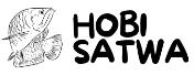 hobisatwa.com